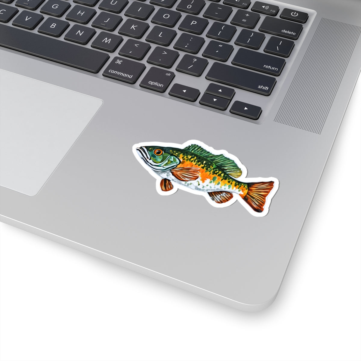 Fish Sticker - , Long lasting vinyl with permanent adhesive, Scratch-resistant glossy finish, Laptops