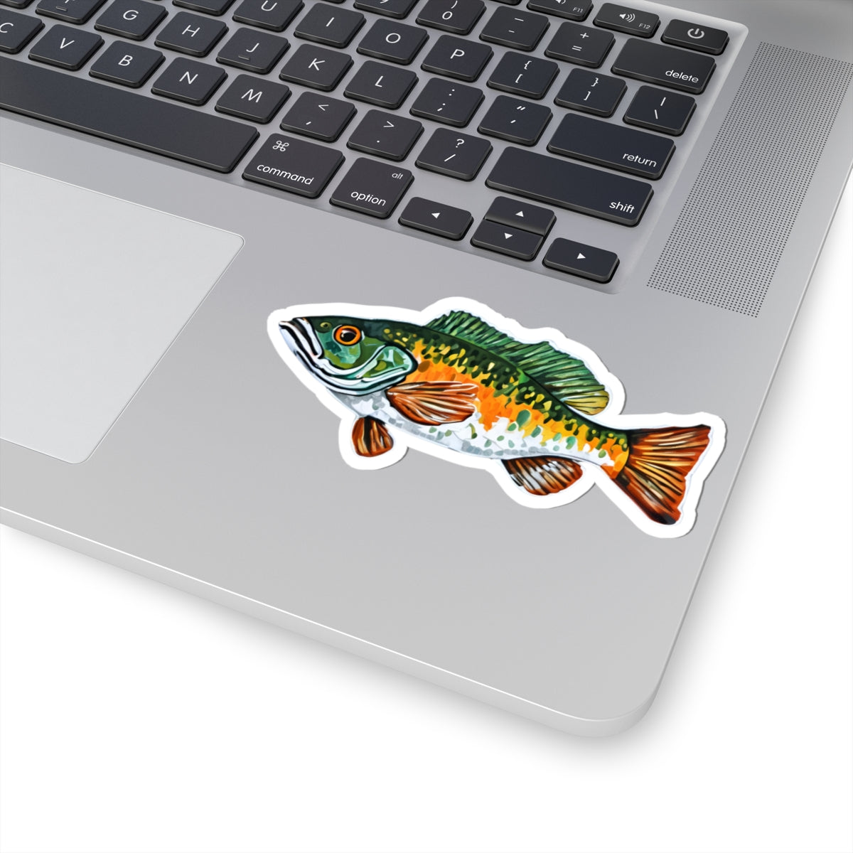 Fish Sticker - , Long lasting vinyl with permanent adhesive, Scratch-resistant glossy finish, Laptops