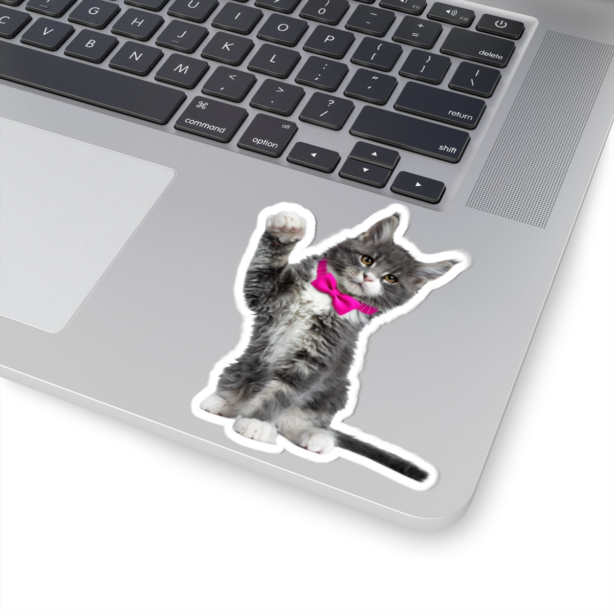 Cute Cat Kiss-Cut Stickers - Animal Lover Gifts and Laptop Decals