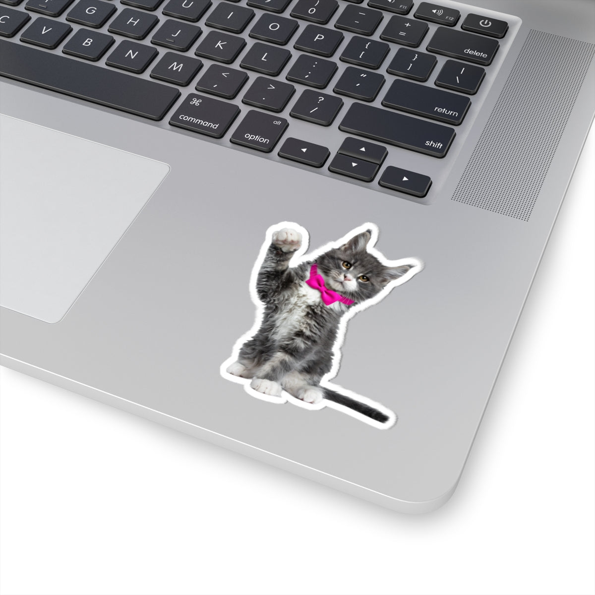 Cute Cat Kiss-Cut Stickers - Animal Lover Gifts and Laptop Decals