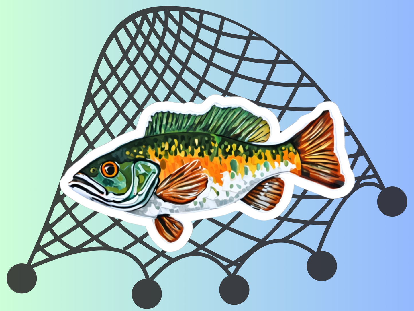 Fish Sticker - , Long lasting vinyl with permanent adhesive, Scratch-resistant glossy finish, Laptops